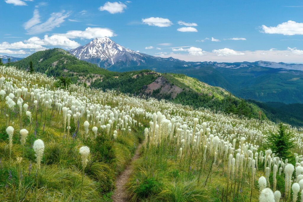 Celebrating Earth Month with our partners