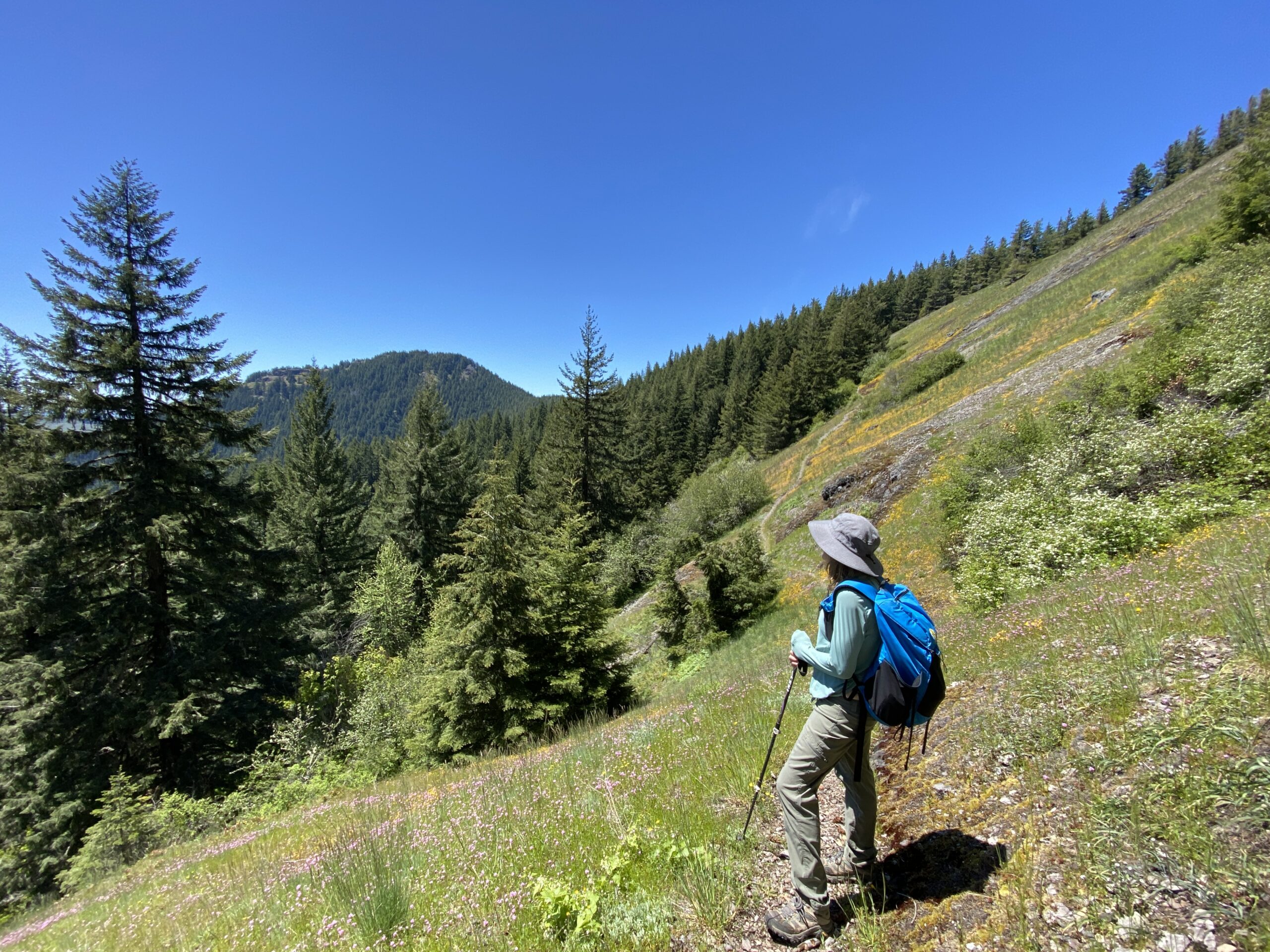 Marina Richie along Sawtooth Ridge