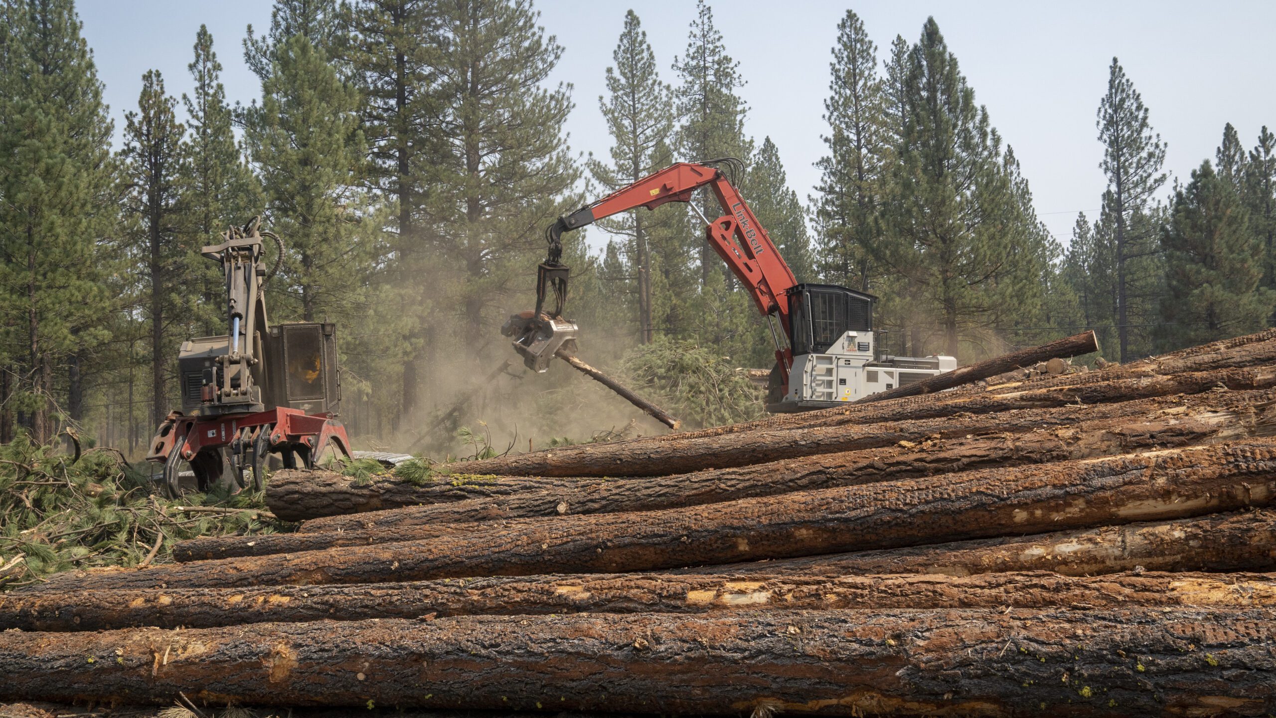 Two pieces of heavy machinery work to create a clearcut and log the forests while a pile of logs sits in the foreground