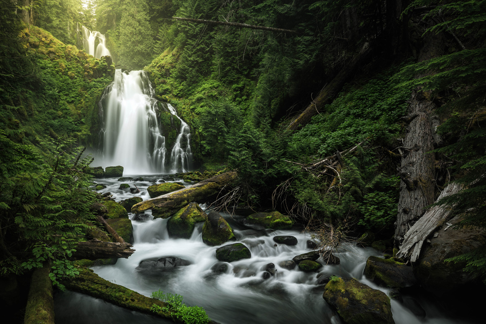 Part 1: Know Before You Go