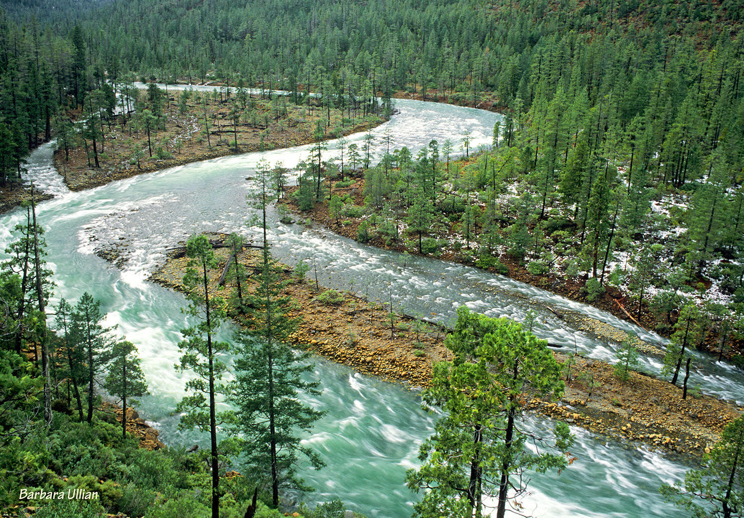 The braided channels of Rough and Ready Creek at high flow