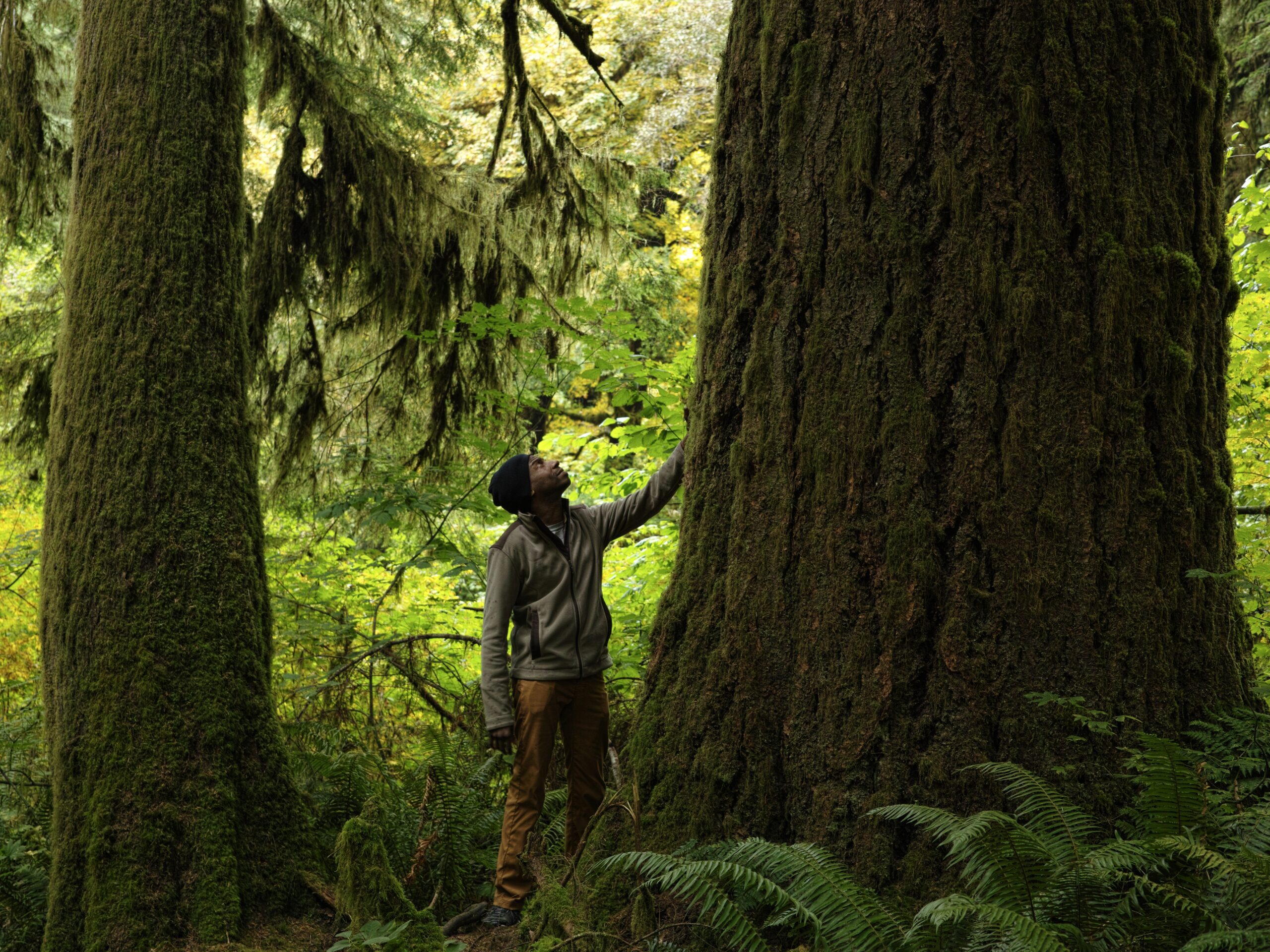 Sweet Creek Trail by Marcus Elder
