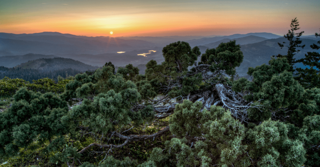 BLM Announces National Rule to Conserve and Protect Public Lands