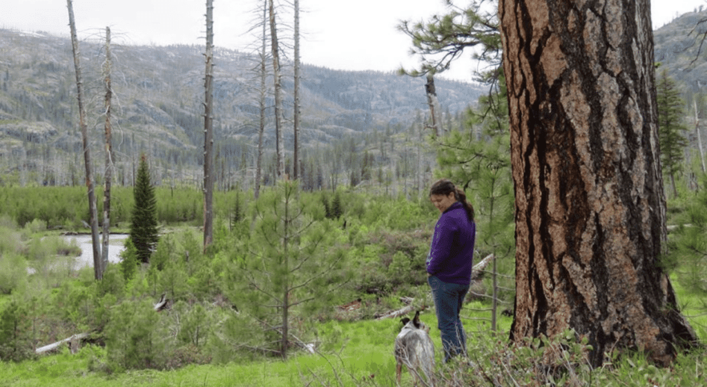 A Big Win for Big Trees