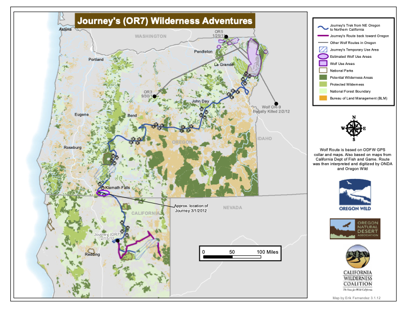Map of OR-7 (Journey)'s path through Oregon